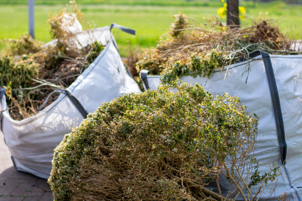 Demolition Debris Removal in Elmo, TX